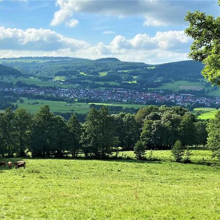 Ferienwohnung Natur-Pur Ehrenberg  外观 照片