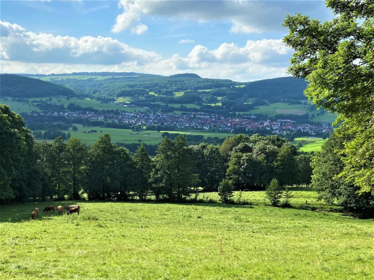 Ferienwohnung Natur-Pur Ehrenberg  外观 照片